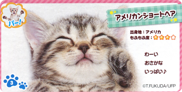 2024年新作入荷 nucoboat｜きまぐれねこにゃんトレード ブレスレット・バングル